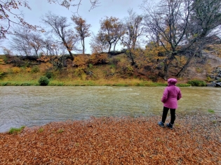 11:07 hs. el otoño a la vera del río Pipo