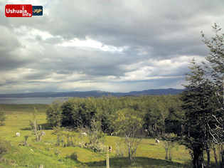 17:55 hs. Caballos pastando en la Base Naval