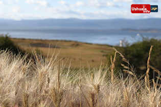 09:12 hs. Brilla el sol sobre el Beagle