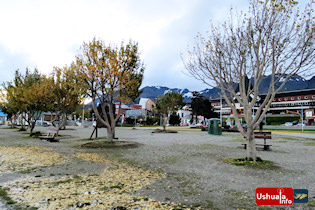 19:22 hs. El otoño se apodera de los árboles del paseo costero