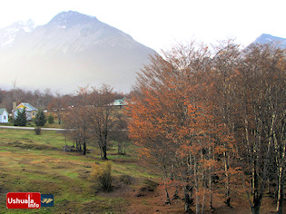 16:38 hs. El Otoño a pleno
