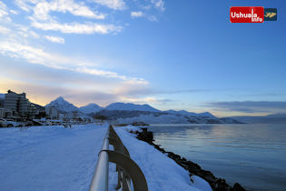 10:40 hs. Mañana heladísima -11°