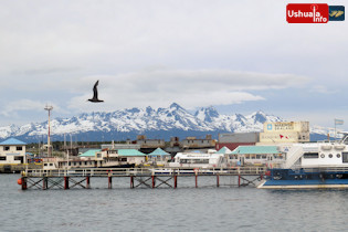 11:28 hs. El petrel pasa
