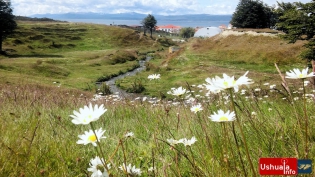 11:34 hs. Día de calor en Ushuaia