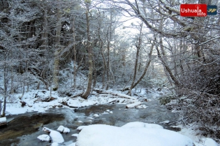 12:11 hs. Postal invernal en el Arroyo Buena Esperanza