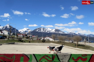 15:20 hs. Espléndida tarde en Ushuaia
