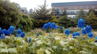 14:48 hs. Desde el JardÃ­n HistÃ³rico de la Antigua Casa de Gobierno