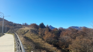 15:10 hs. Caminar junto al bosque