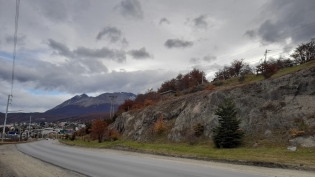 15:01 hs. Arboles otoñales