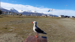 14:02 hs. Miércoles de sol 