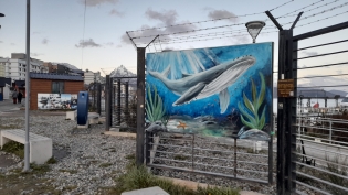 19:37 hs. La Gran Ballena Austral. Obra de Sala Azul Jardín de Infantes N°28 junto a la artista Mercedes Chiesa