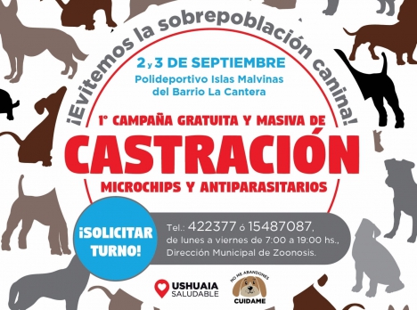 Se realizará una castración masiva de mascotas