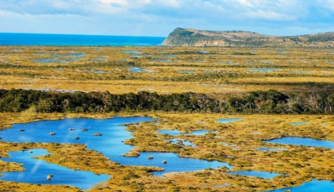 Península Mitre es declarada “Sitio Ramsar” en reconocimiento a su importancia internacional